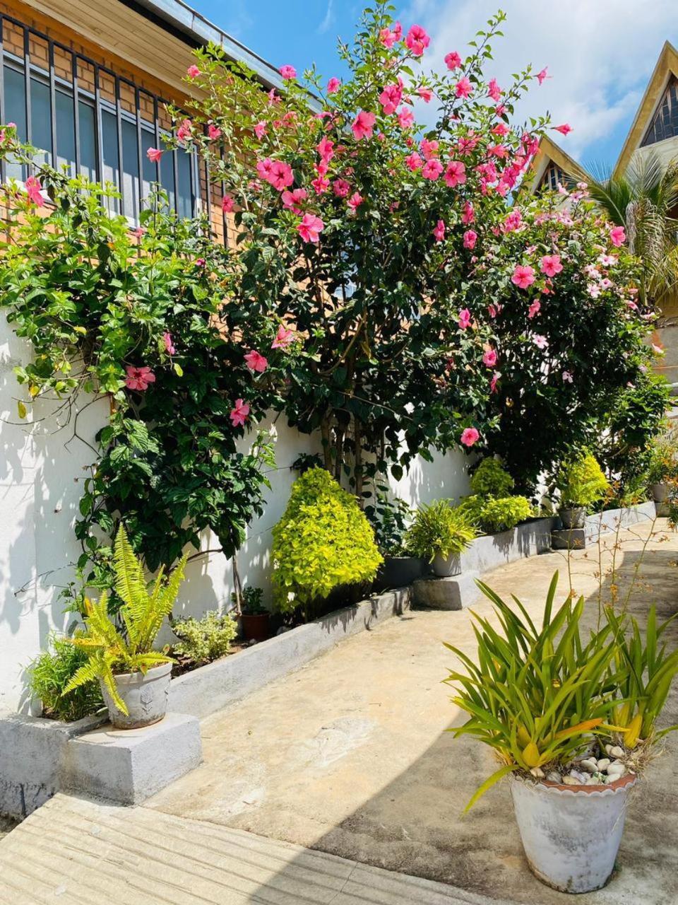 Chez Jeanne Chambre D'Hote Antananarivo Exteriör bild